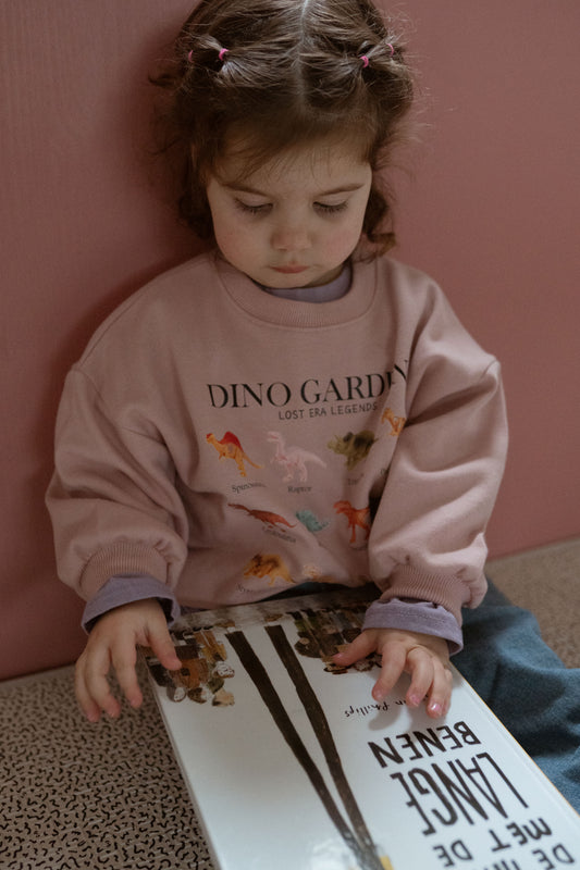 Mini Dino Sweatshirt
